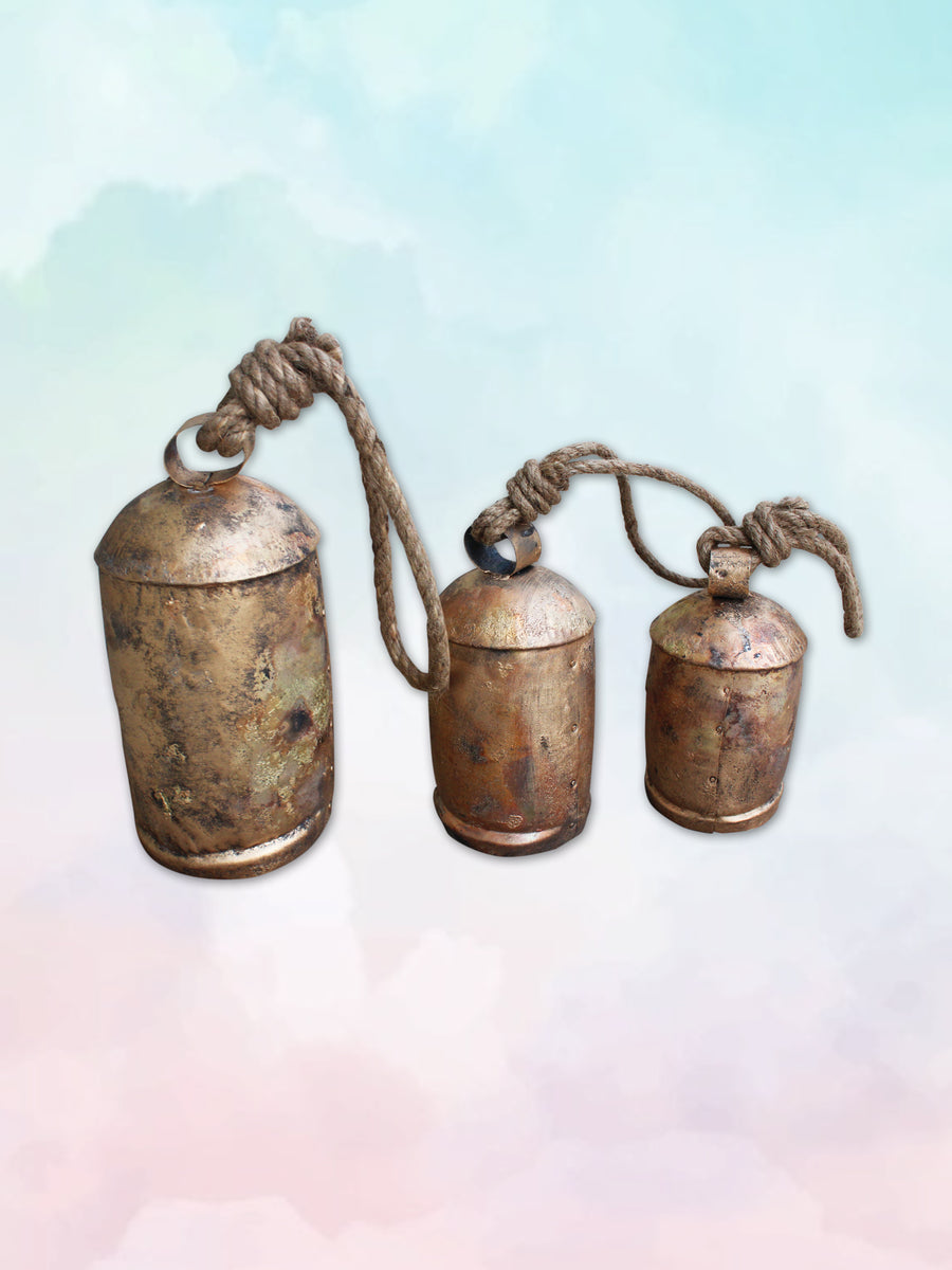 Metal Rope Cow Bell Set/3 Unique Home Accents