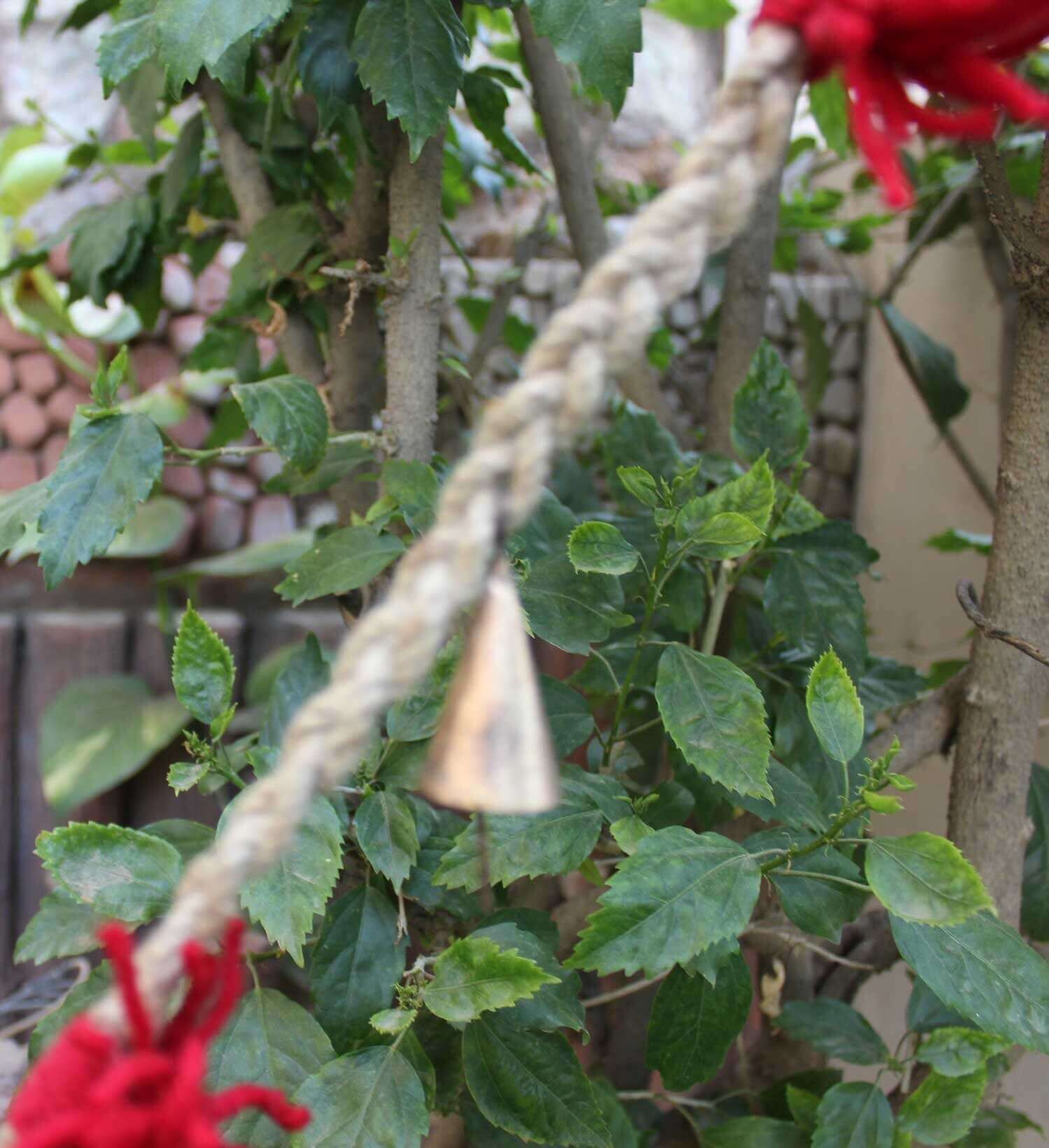 Vintage cow bells on jute string garland hanging amidst lush greenery, adding rustic charm to garden decor.