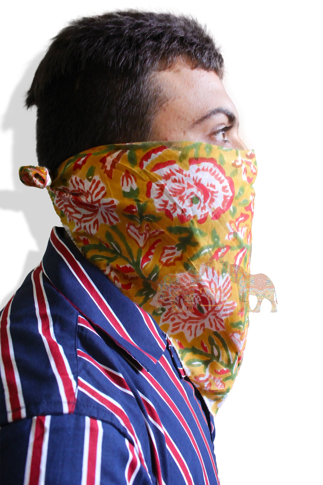 Wholesale Indian Cotton Voile Table Napkins - Assorted Set